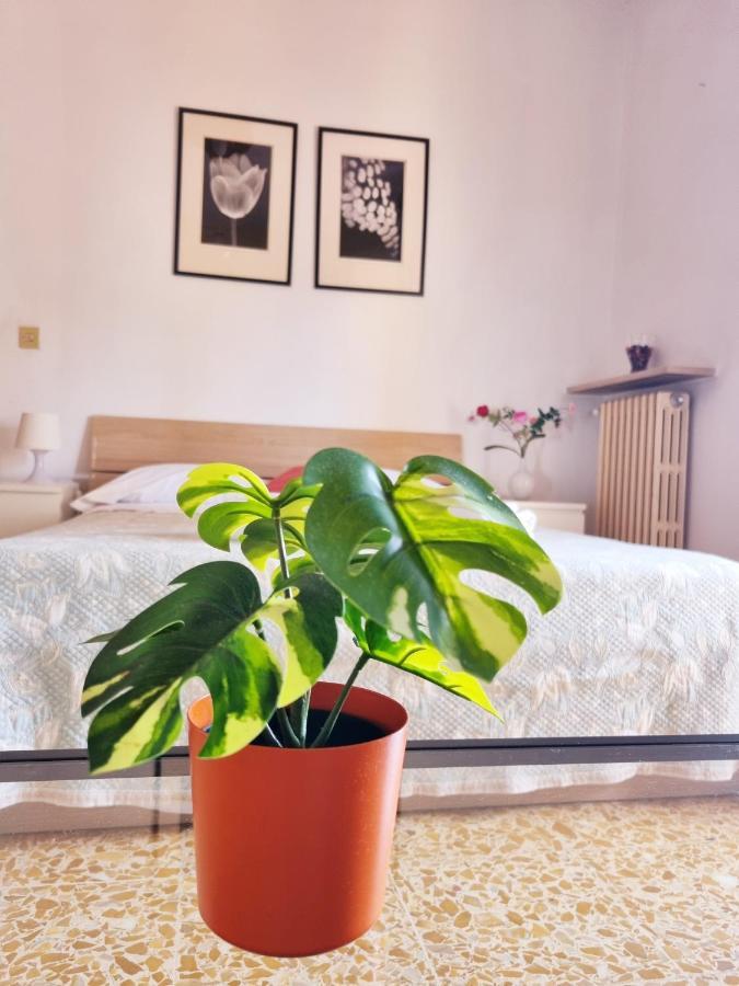 Prime Guest House Pisa Dış mekan fotoğraf